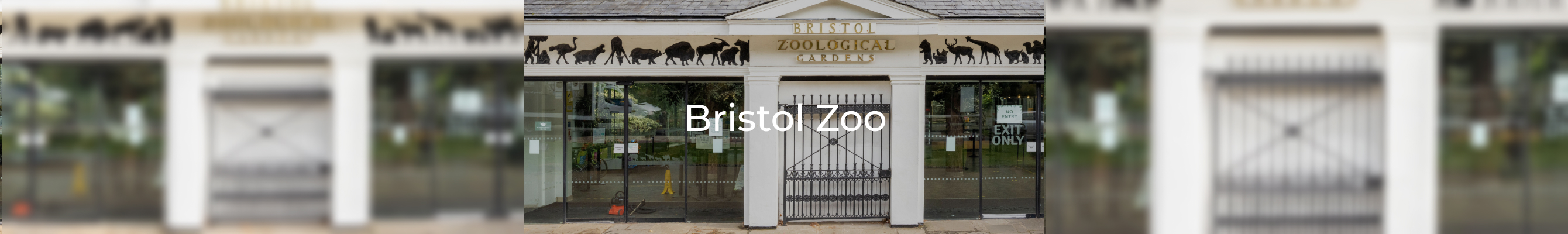 bristol zoo